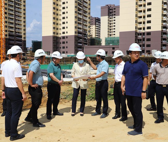 到龙州县城棚户区改造项目现场检查（修图）.jpg